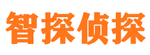 岱岳市婚外情调查